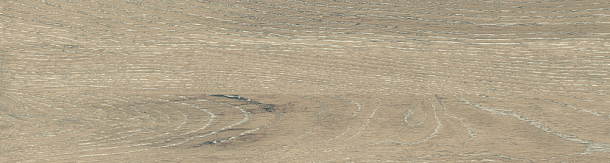 Фото Керамогранит DW02 Dream Wood Latte Неполированный 14,6x60x8 Россия