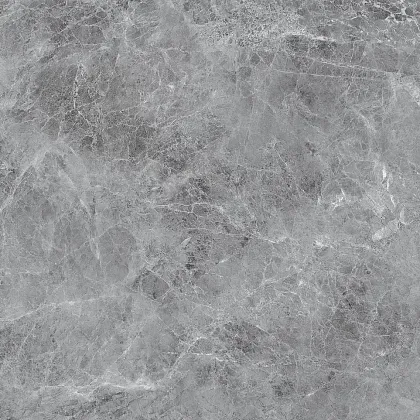 Фото Керамогранит Eternal ETSTN1225GL6060 Madona Grey Glossy 60x60 Индия