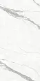 Керамогранит Protiles PT12F7002 Calacatta Matt 1200х600х9