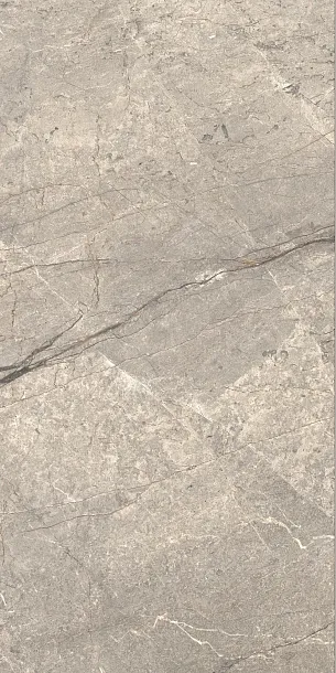 Фото Керамогранит Caesar AIAV Amazing Silver Liscio Matt 60x120 Италия