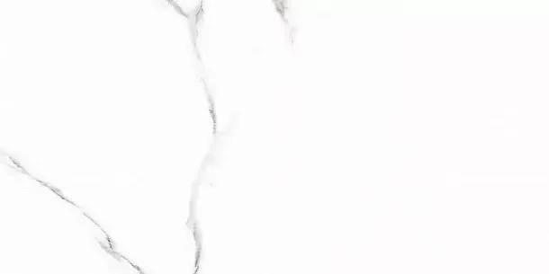 Фото Керамогранит Carrara Rect матовая 60x120 Узбекистан