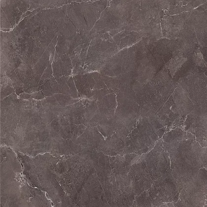 Фото Керамогранит Monblanc коричневый 50х50 Беларусь