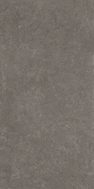 Фото Керамогранит Kerama Marazzi Касабланка HP коричневый матовый обрезной 60x119,5x0,9 (KM6012G0151R) Россия