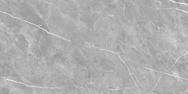 Фото Керамогранит Ennface ENSTN8003LM60120 Marcasite Glossy 60x120 Индия