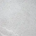 Керамогранит ZERDE TILE R1LG0HH05GRR5 Lagos Light Grey 2cm 58x58