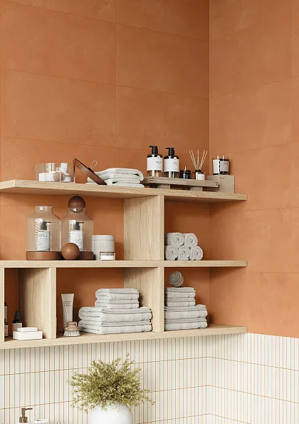Фото Керамогранит Imola Ceramica RTN6 ARANC12 RM 60x120 Италия