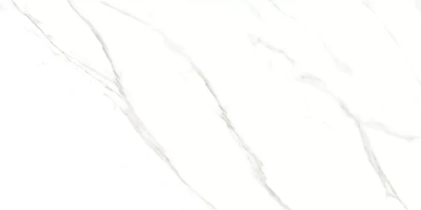 Керамогранит Carrara Livia Glossy 60x120 (M4401P) для гостиной, для кухни, для ванной, для туалета, для спальни, для прихожей, на теплый пол Фото Керамогранит Carrara Livia Glossy 60x120 (M4401P) Китай