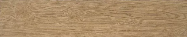 Фото Керамогранит STN Ceramica Tiare Oak MT 23x120 Испания