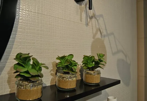 Коллекция Soft Emigres