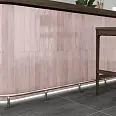 Cerdena Monopole