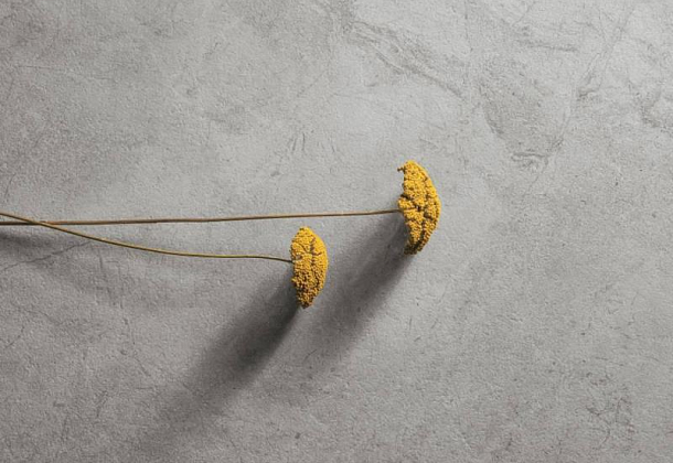 Коллекция Affrescati Refin