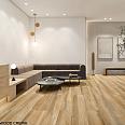 Drift Wood Drift Wood ITC
