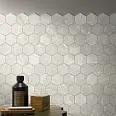 Everstone Cercom