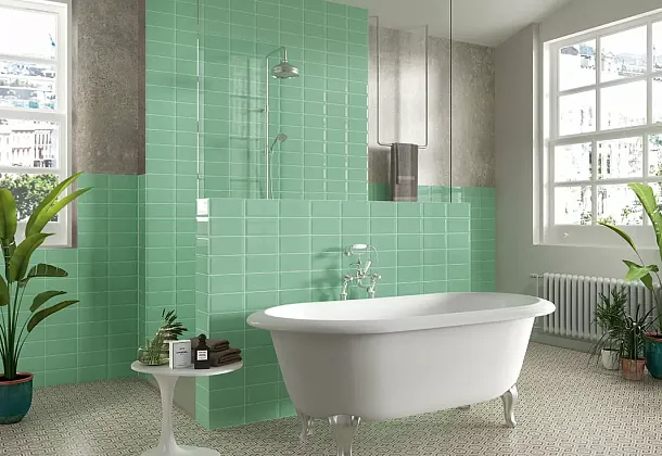 Коллекция Plus Bissel Mainzu