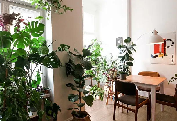 Коллекция Inedito Ragno