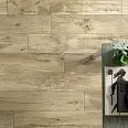 Woodmania Ragno Marazzi