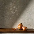 Stone Vision Cercom