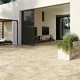 Aurum Century