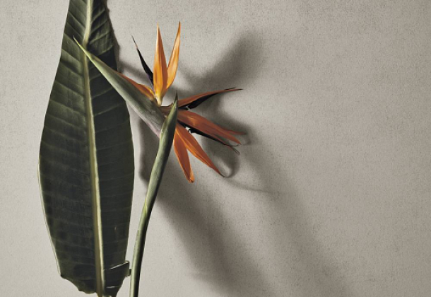 Коллекция Orobica Refin