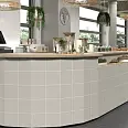 Technical Mainzu