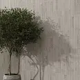Carrizo Paradyz