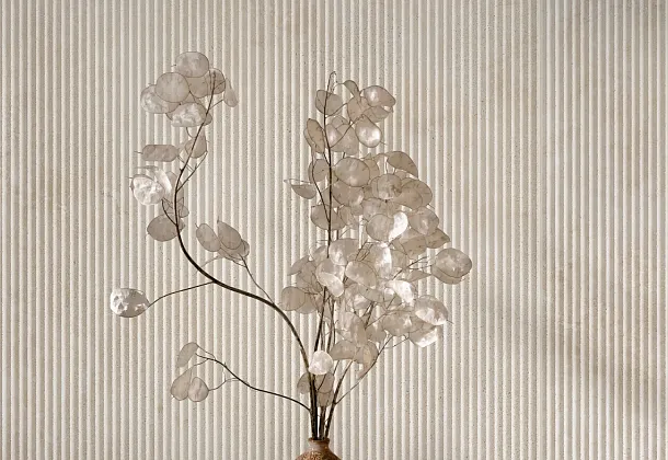 Коллекция Travertino Wall Ragno