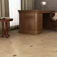 Octogonal Gayafores
