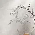 КлаудОникс Vitra