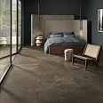 Absolute Stone Cercom