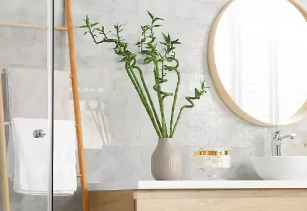 Коллекция Kristalus Colorker