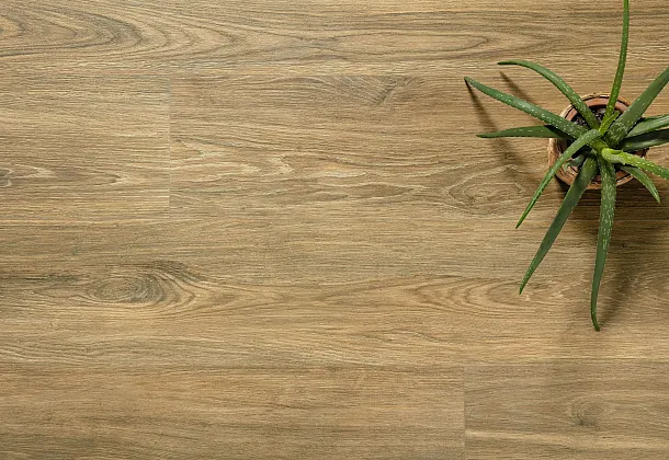 Коллекция Verbier Peronda