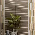 Tropic Mainzu