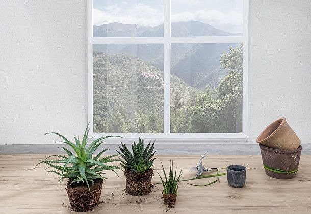 Коллекция Legno Venezia Laminam