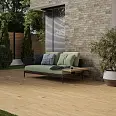 Ardis Paradyz