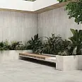 Civic Caesar