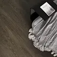 Malva Laparet