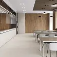 Betonica Crema PRO Laparet