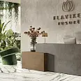 Supreme Treasure Flaviker