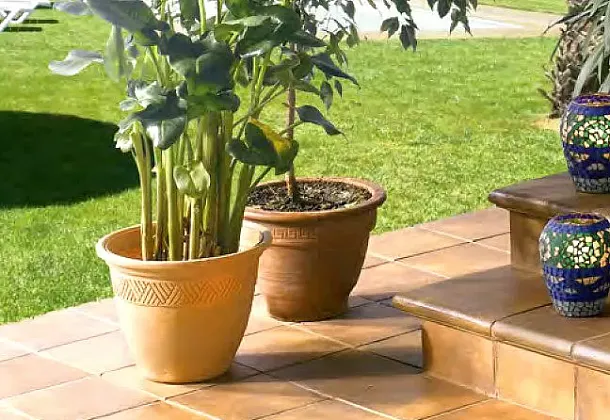 Коллекция Classic Gres de Aragon