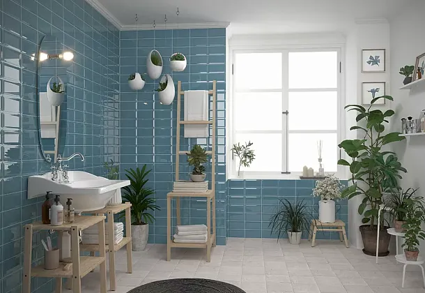 Коллекция Plus Bissel Mainzu