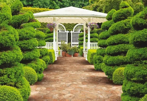 Коллекция Chicago Cir