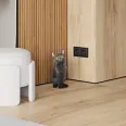 Wood Canarium Almond Stripes Laparet