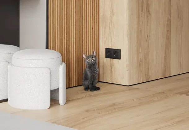 Коллекция Wood Canarium Almond Stripes Laparet