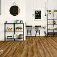 Drift Wood Drift Wood ITC