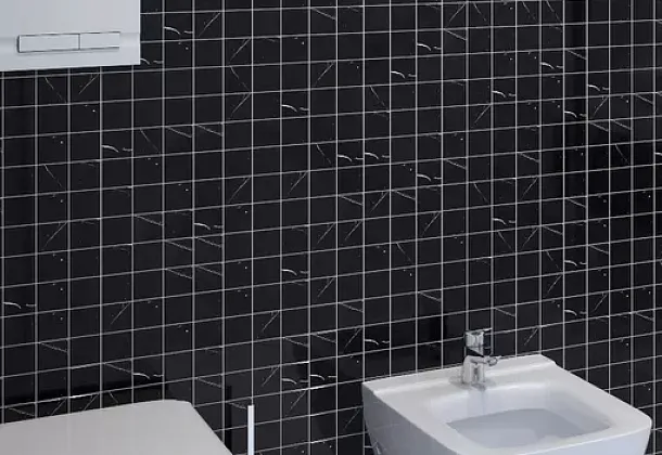 Коллекция Wild Stone StarMosaic