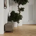 Wood Latina Miele Chevron Laparet
