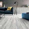 Drift Wood Drift Wood ITC