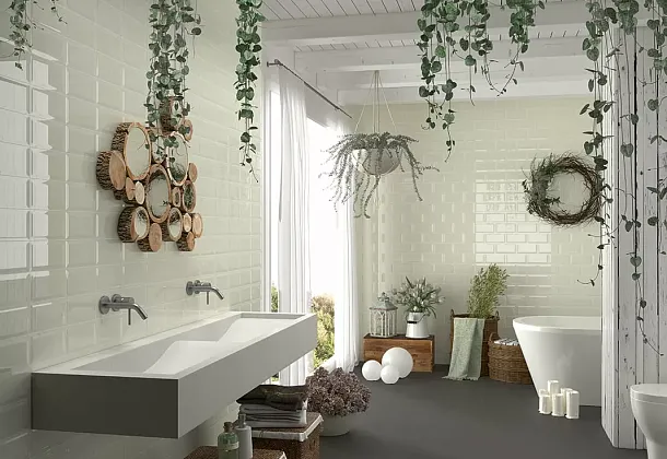 Коллекция Plus Bissel Mainzu