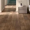 Nodis Ragno