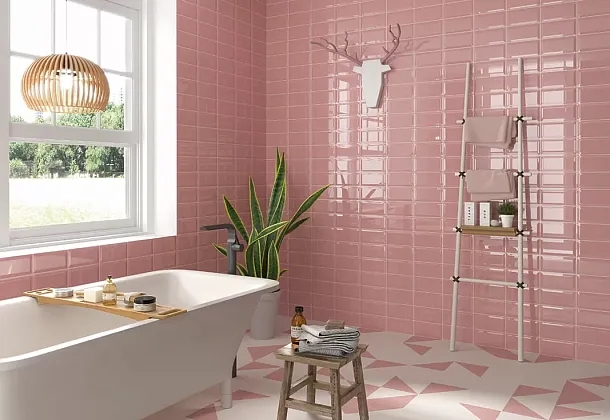 Коллекция Plus Bissel Mainzu